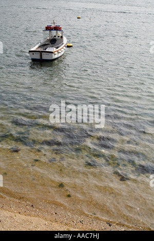 Bateau sur l'estuaire de la FAL, Fowey, Cornwall, UK. Banque D'Images