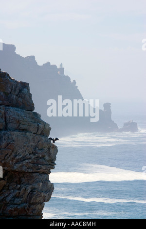 Vue depuis le Cap de Bonne Espérance à la pointe du Cap, Afrique du Sud Banque D'Images