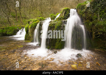 Cascade sur la rivière Lathkill dans Lathkill Dale. Banque D'Images