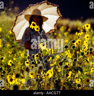 Jeune femme portant un parasol marcher au milieu d'un champ de fleurs sauvages jaunes dans une scène rétro-éclairé Banque D'Images