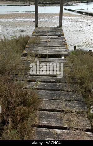 Vieille passerelle à installations pour l'élevage de l'huître dans un proche de Talmont Saint Hilaire Vandee France Banque D'Images