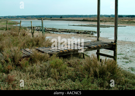 Vieille passerelle à installations pour l'élevage de l'huître dans un proche de Talmont Saint Hilaire Vandee France Banque D'Images