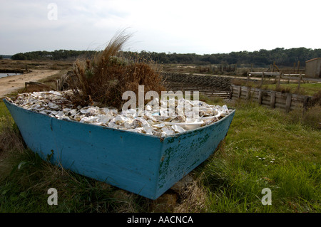 Bateau à rames rempli de coquilles de oyters à installations pour l'élevage de l'huître dans un proche de Talmont Saint Hilaire Vandee France Banque D'Images