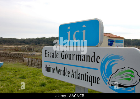 De Vente directe à oyters instalations pour l'ostréiculture dans le proche de Talmont Saint Hilaire Vandee France Banque D'Images