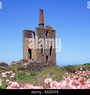 Près de Levant historique site de machine à vapeur du patrimoine industriel reste de bâtiment de mine de pierre et cheminée sauvage thrift en fleur Cornwall Angleterre Royaume-Uni Banque D'Images