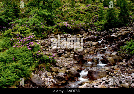 Balgy Falls Wester Ross Highlands Ecosse Banque D'Images