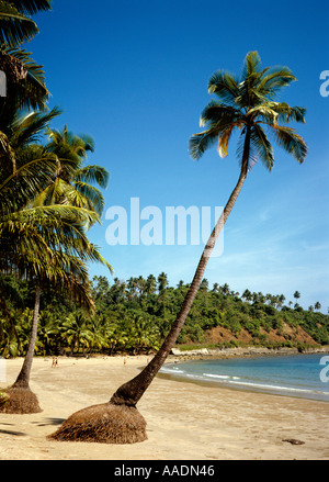 L'Inde au sud de l'Île Andaman Corbyns Cove Banque D'Images