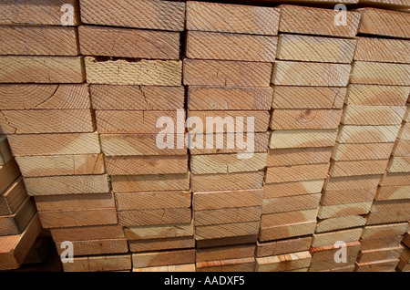 Pile de bois sur un chantier Banque D'Images