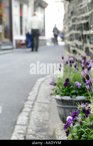 Plantes en pot sur une porte, au Royaume-Uni. Banque D'Images