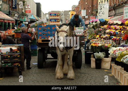 Cheval et panier Livraison dans Moore Street Market Dublin Ireland Banque D'Images