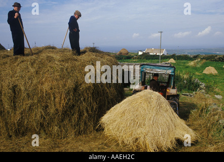 Irlande années 1970 ruraux de la côte ouest agriculteurs fabriquant des piles de foin Comté Kerry République d'Irlande, Eire (ou années 1980) CHOMER SYKES Banque D'Images