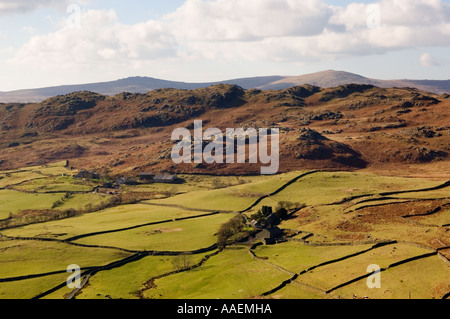Les champs et les fermes de Lake District fells Banque D'Images