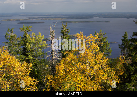 Couleurs d'automne à l'emblématique de la campagne nationale de la colline surplombant le lac Pielinen Koli, en Carélie, Finlande Banque D'Images