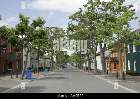 La rue principale bordée de Killough sycomores comté de Down en Irlande du Nord Banque D'Images