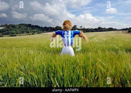 Un épouvantail habillé de Brighton et Hove Albion Football Club strip sur l'emplacement de nouveau stade dans la région de Brighton and Hove Banque D'Images