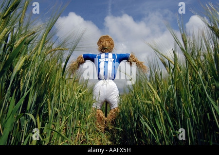 Un épouvantail habillé de Brighton et Hove Albion Football Club strip sur l'emplacement de nouveau stade dans la région de Brighton and Hove Banque D'Images