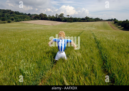 Un épouvantail habillé de Brighton et Hove Albion Football Club strip sur l'emplacement de nouveau stade dans la région de Brighton and Hove Banque D'Images