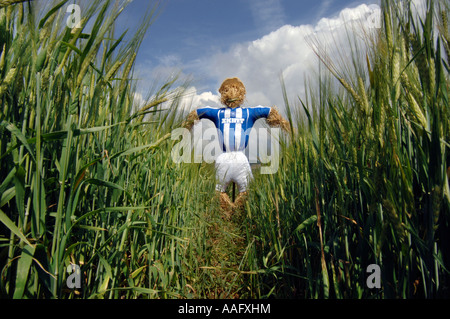 Un épouvantail habillé de Brighton et Hove Albion Football Club strip sur l'emplacement de nouveau stade dans la région de Brighton and Hove Banque D'Images