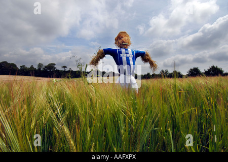 Un épouvantail habillé de Brighton et Hove Albion Football Club strip sur l'emplacement de nouveau stade dans la région de Brighton and Hove Banque D'Images