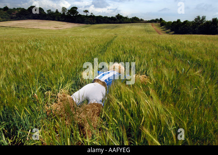 Un épouvantail habillé de Brighton et Hove Albion Football Club strip couché sur du nouveau stade dans la région de Brighton and Hove Banque D'Images