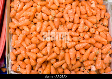 Des carottes pour la vente dans un Borough Market, London Banque D'Images