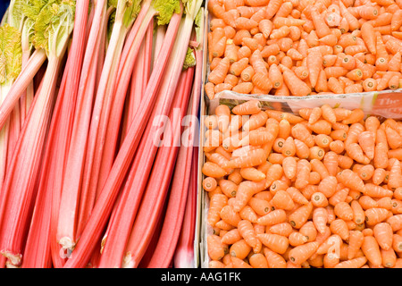 Les carottes et la rhubarbe pour vendre à un Borough Market, London Banque D'Images