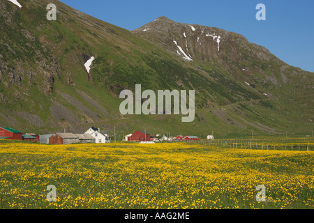 Unstad Lofoten Islands Banque D'Images