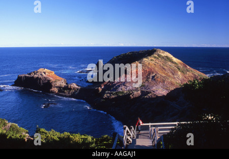 À Cape Schanck touristiques Mornington Peninsula National Park Victoria Australie Banque D'Images