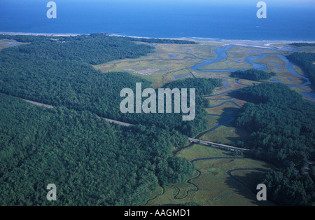 Kennebunk moi sous-développé forêt près de Rachel Carson N W R Petite Rivière et Rt 9 Harts Woods Crescent Beach Surf un colis Banque D'Images