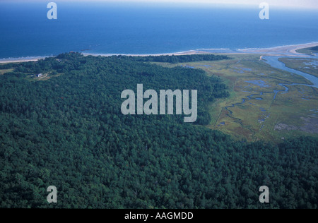 Kennebunk moi sous-développé forêt près de Rachel Carson N W R Harts Woods croissant de colis et plage de surf à l'arrière plage Parson s Banque D'Images