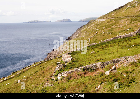 Péninsule de Dingle Kerry Irlande Slea Head paysage côtier en direction de Great Blasket Island Banque D'Images