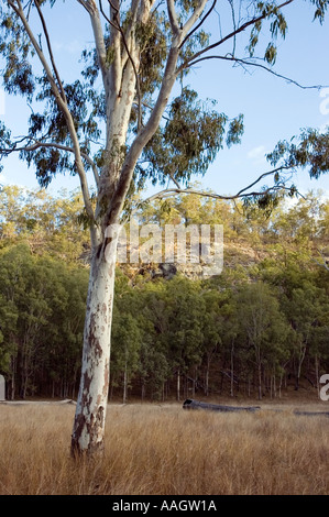 Gorge Cania Central Queensland Australie 3362 Banque D'Images