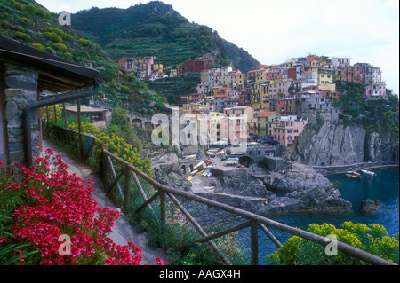 Italie Ligurie Manarola Cinque Terre vue du village de pêcheurs Banque D'Images