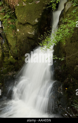 Ruisseau de montagne s'écoulant sur les roches moussues sur l'Hafod estate Pontrhydygroes près d'Aberystwyth, Ceredigion Pays de Galles UK Banque D'Images