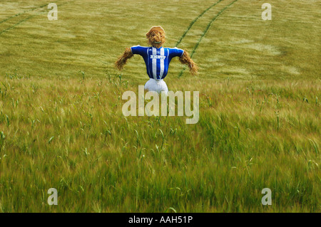 Un épouvantail habillé de Brighton et Hove Albion Football Club strip sur l'emplacement de nouveau stade dans la région de Brighton and Hove Banque D'Images