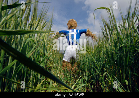 Un épouvantail habillé de Brighton et Hove Albion Football Club strip sur l'emplacement de nouveau stade dans la région de Brighton and Hove Banque D'Images