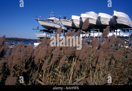 Bateaux couverts et stockées sur rayonnage pour l'hiver Banque D'Images