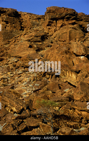 La falaise à Twfelfontein Monument National du Nord Afrique Namibie Damaraland Banque D'Images