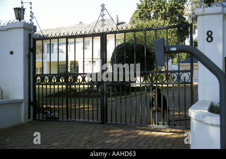 Élaborer des portes en fer forgé à l'entrée de la maison de luxe dans un Rosebank banlieue de Johannesburg Afrique du Sud Banque D'Images