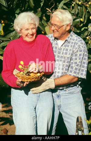 Senior couple holding panier de fruits des smiling Banque D'Images