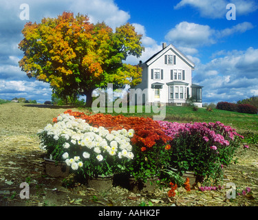 New England farm affiche ses couleurs d'automne Banque D'Images