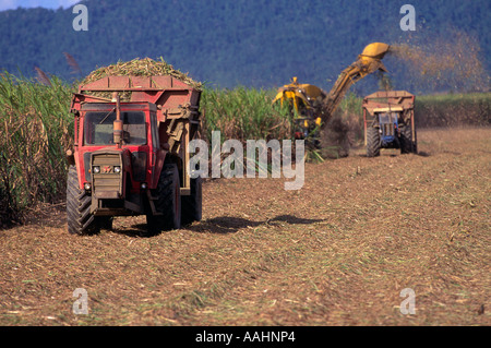 Récolte de la canne à sucre, Queensland, Australie, Banque D'Images