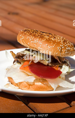 Célèbre Oodnaburger le chemin Pink House Oodnadatta Oodnadatta Track Outback Australie Australie du Sud Banque D'Images