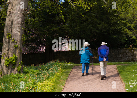 Visiter Abbaye de Dryburgh Scottish Borders UK Banque D'Images