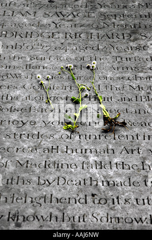 Au cimetière de l'Église congrégationaliste circulaire Charleston, Caroline du Sud Banque D'Images