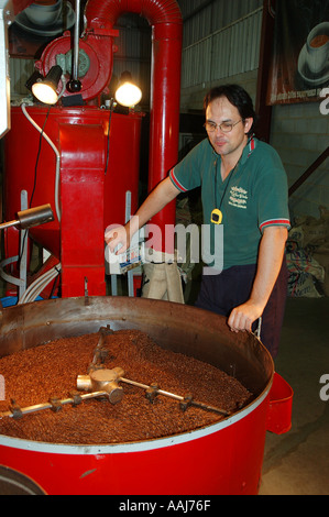 Expert homme contrôle de tri des grains de café rôti Atherton Queensland Australie Dsc0088 Banque D'Images