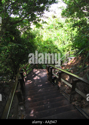 Escaliers jusqu'à la Praia do Madeiro Rua dos par la plage de Pipa de la baie au sud de Natal, Brésil. Banque D'Images