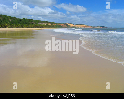 La plage Praia do Madeiro Rua dos par bay dans Pipa, au sud de Natal, Brésil. Également appelé Dolphin's beach. Banque D'Images