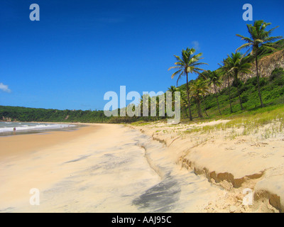 La plage Praia do Madeiro Rua dos par bay dans Pipa, au sud de Natal, Brésil. Également appelé Dolphin's beach. Banque D'Images