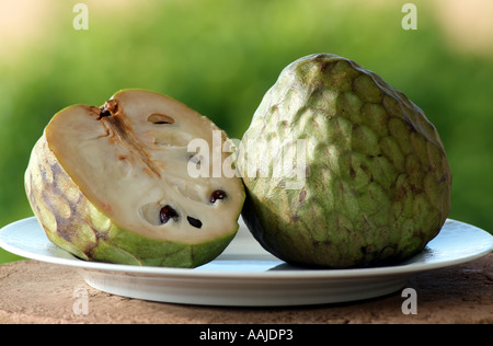 L'Anone. L'annona reticulata également connu sous le nom de taureaux bœufs ou coeur coeur. Cultivé dans le sud de l'Espagne Europe EU Banque D'Images